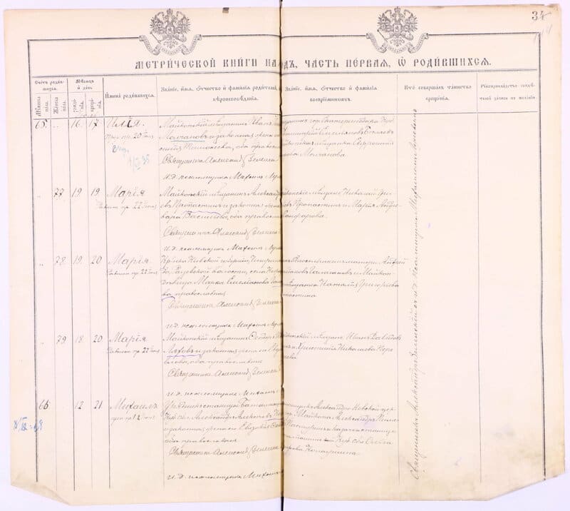 Метрическая книга Майкопа, 1912–1913: брак казачки ст. Баталпашинской Ольги Иосифовны Колаушиной